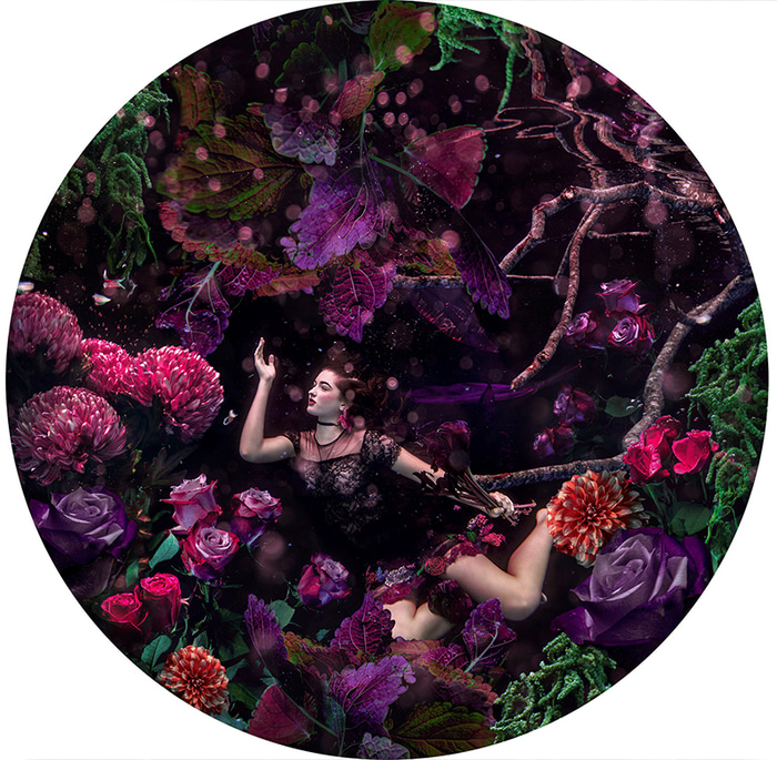 The Dome by Beth Mitchell | Lethbridge Gallery